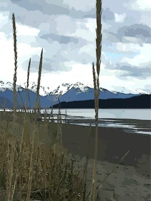 Alaska notecard showing beachgrass and shoreline with the tide coming in.