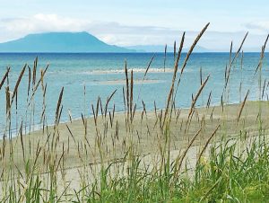 Alaska notecard showing beachgrass and shoreline with the tide coming in.