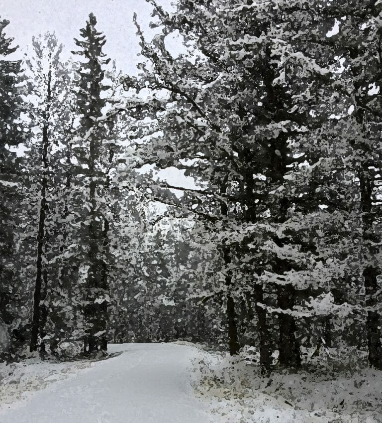 #1734 – Through a Snowy Wood