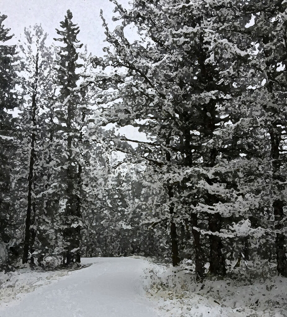 #1734 – Through a Snowy Wood