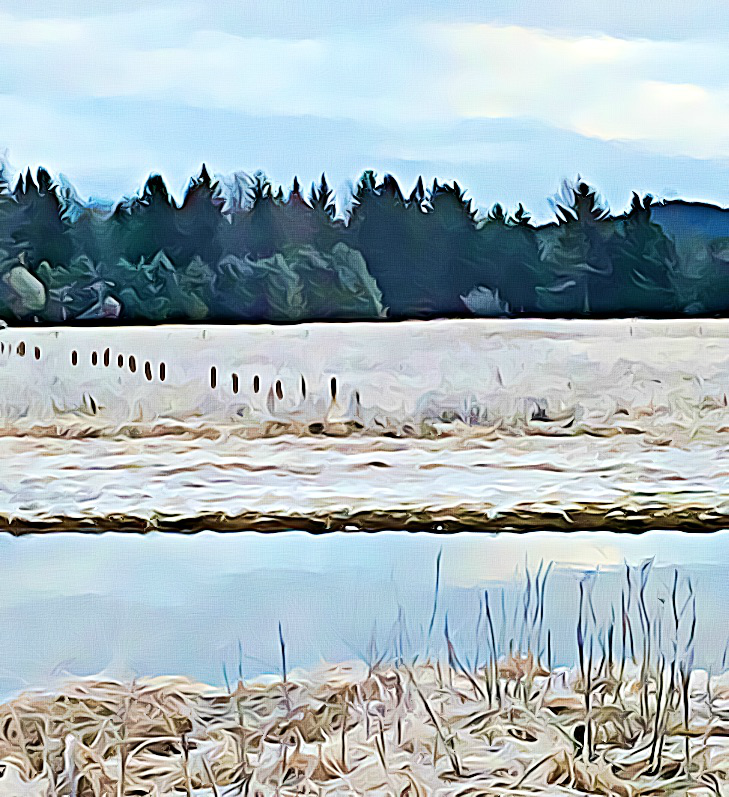 #1804 – Winter Field #1