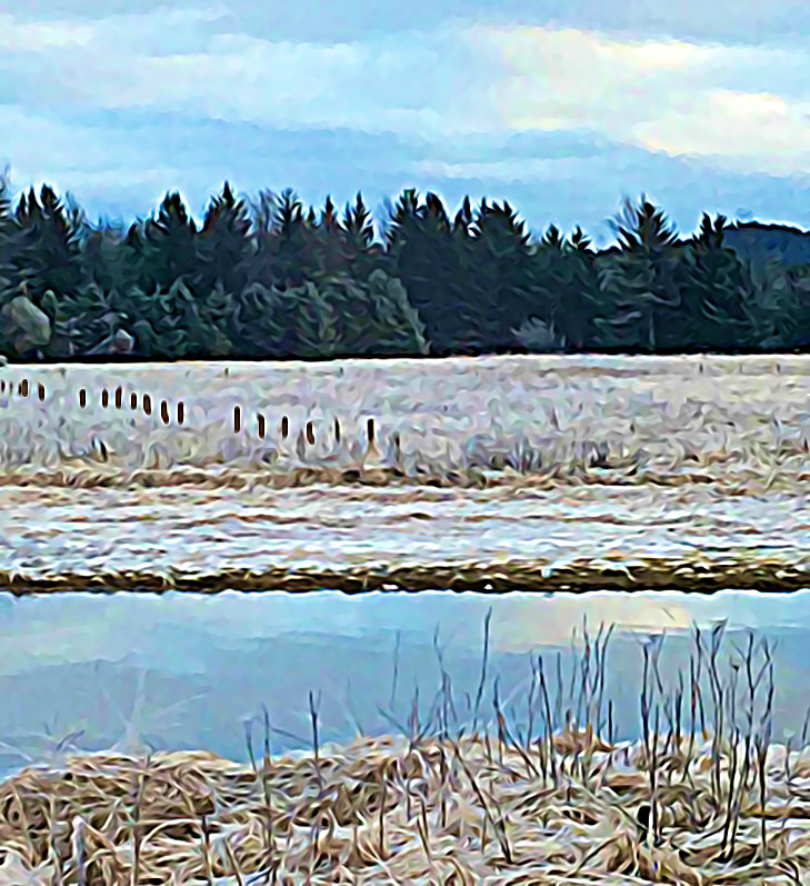 #1805 – Winter Field #2