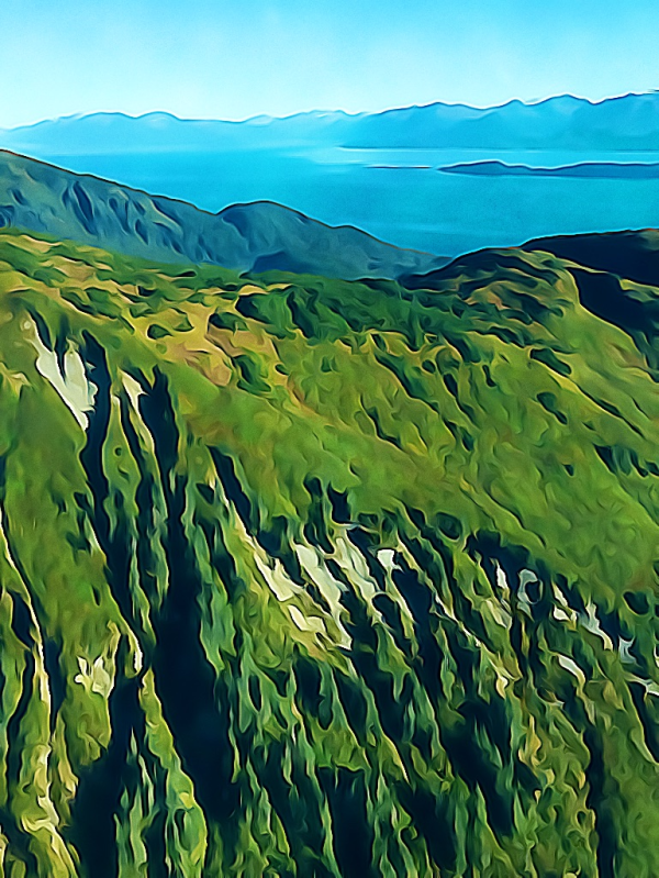 Alaska notecard showing high summer color on the mountainsides.