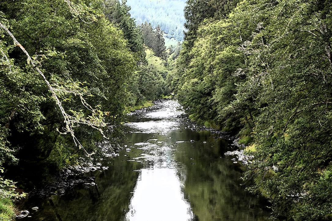 #1930 – Magic on the Sol Duc River