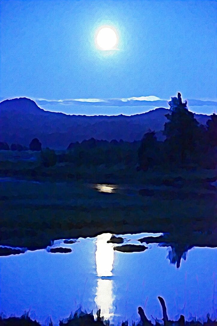#2005 – June Moon Over the Salmon River